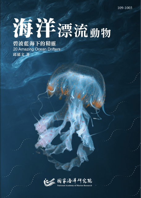 海洋漂流動物-碧波藍海下的精靈