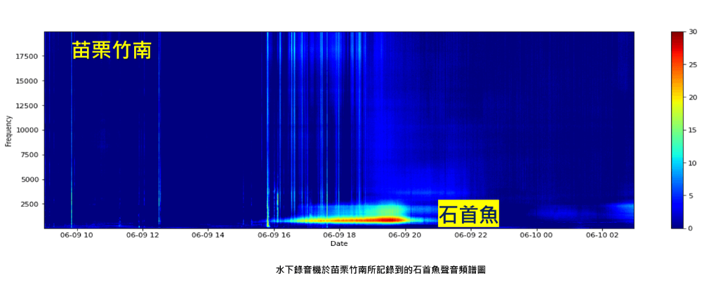 臺灣西部海域與離島海洋生態系水下聲景量測