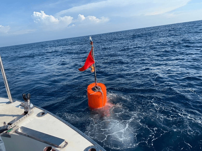 Anchored underwater hydrophone distribution