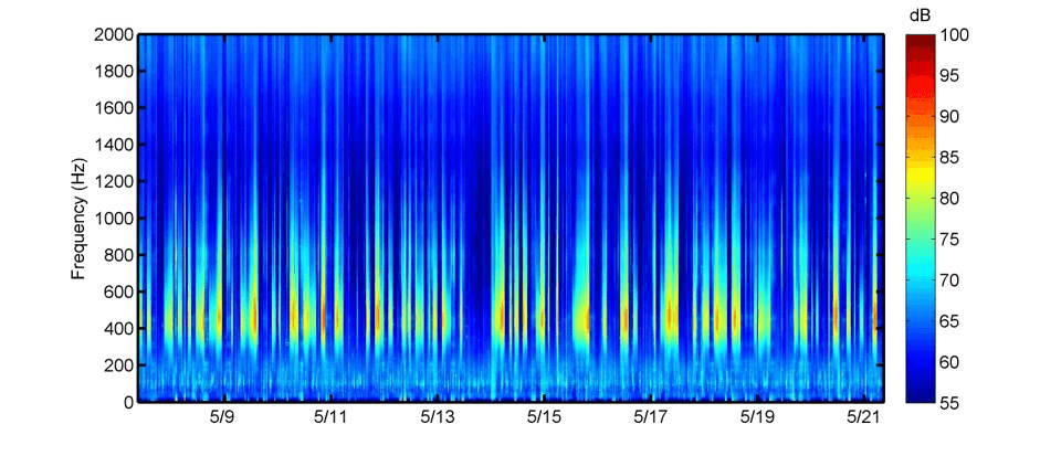 Offshore wind farm in Changhua with a large number of marine life sounds detected