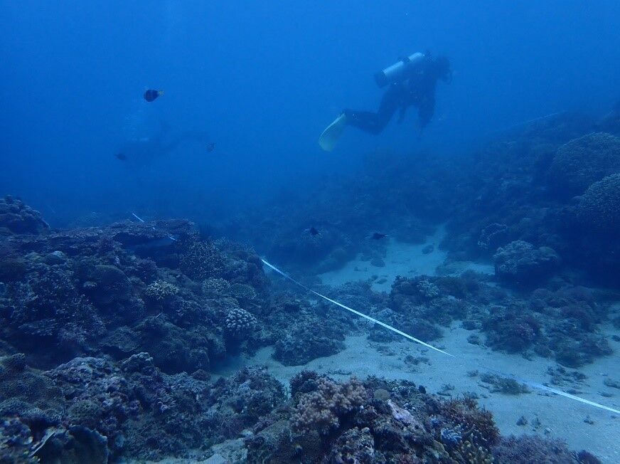 Subtidal Zone Diving Survey