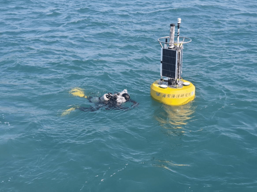 Diving at the buoy anchor position for routine system inspections