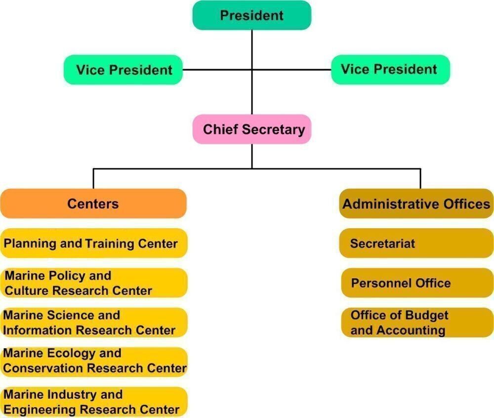 Organizational Structure of NAMR