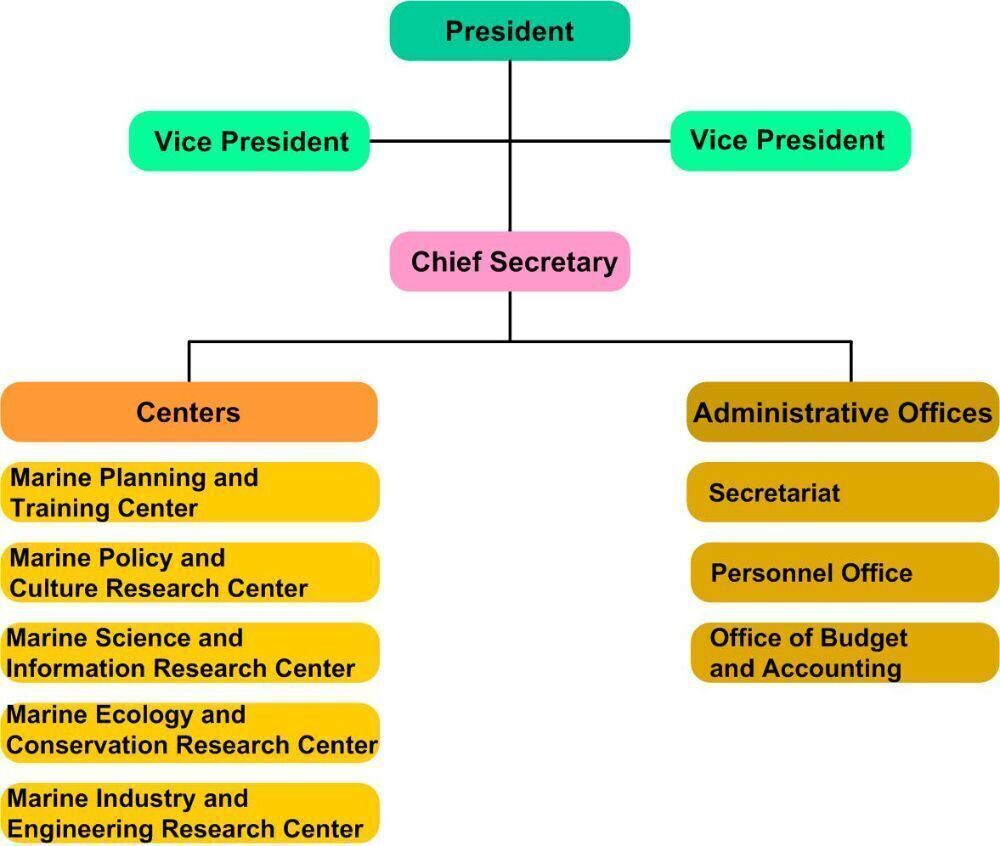 Organizational Structure of NAMR