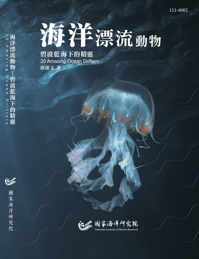 海洋漂流動物-碧波藍海下的精靈